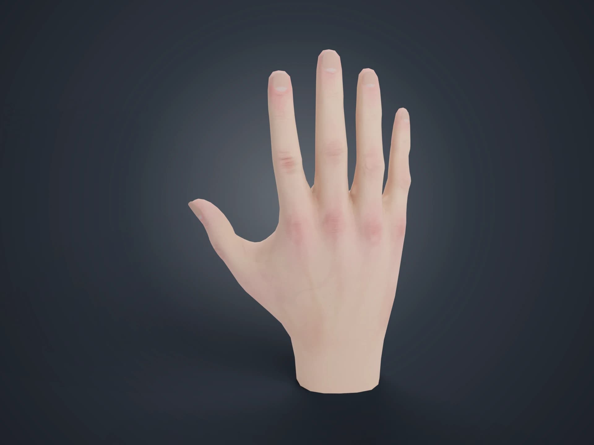 Realistic Human Hand 3D Model