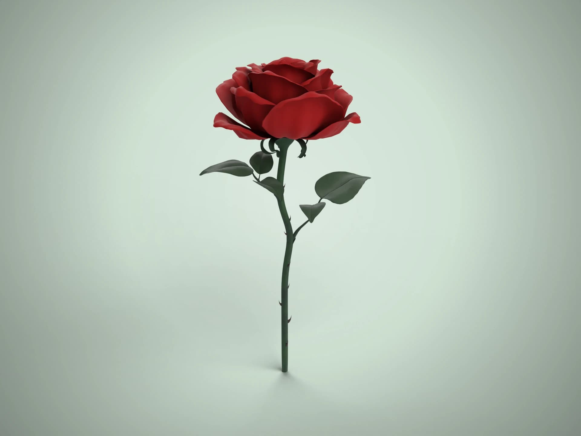 Realistic Red Rose Flower 3D Model