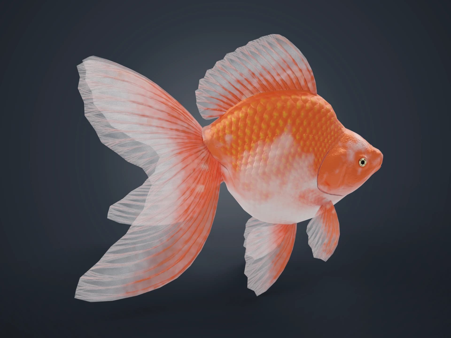 Ryukin Goldfish Animated 3D Model