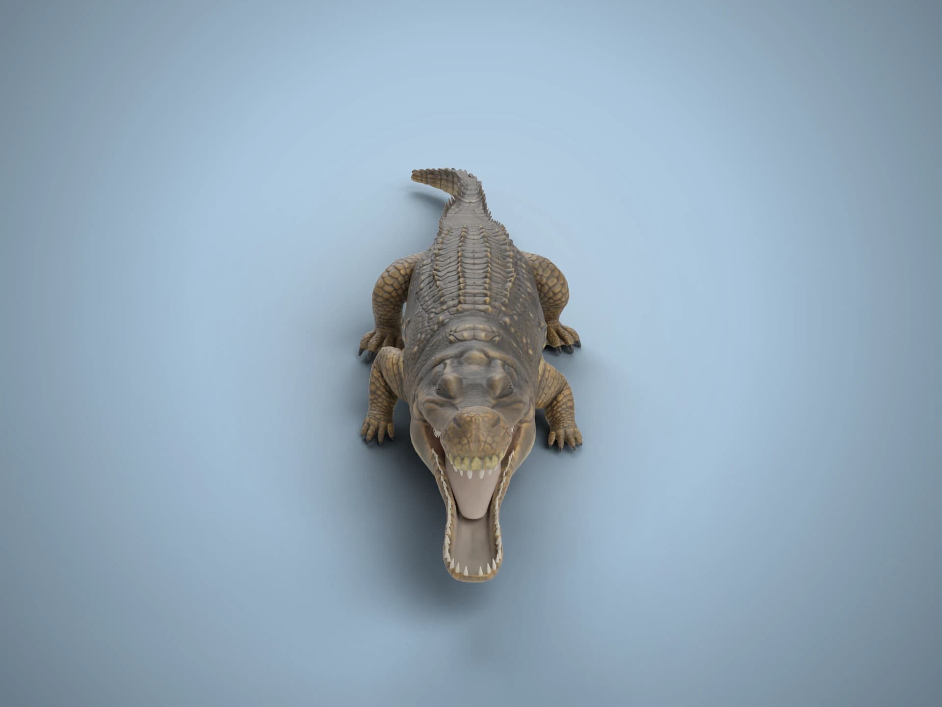 Sarcosuchus Prehistoric Crocodile 3D Model