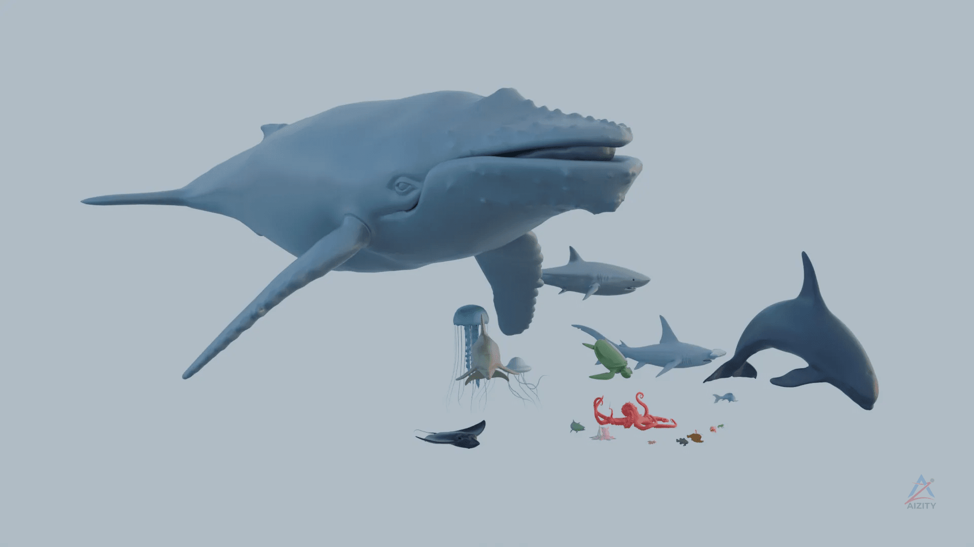 Sea Animals – 3D Model