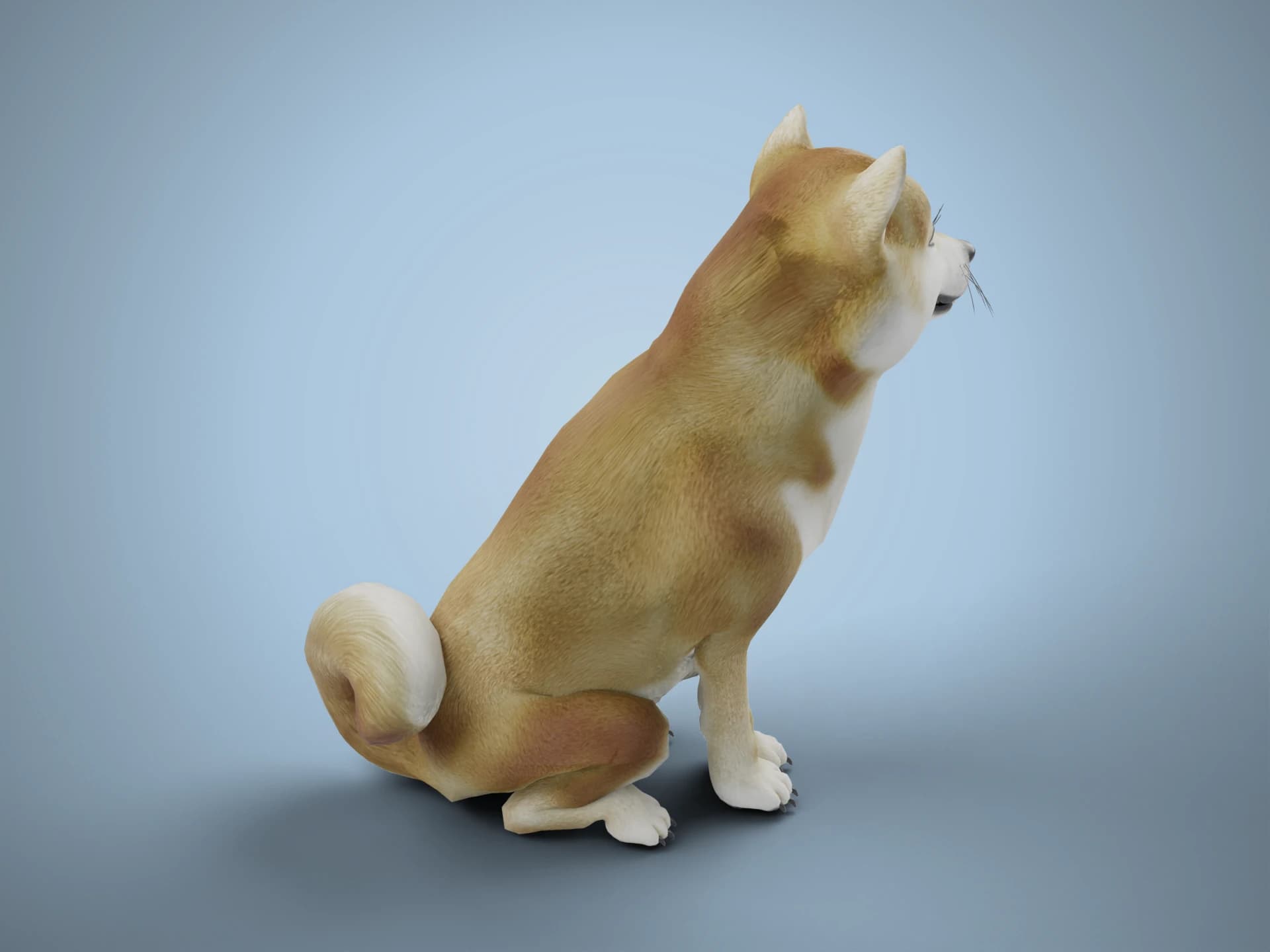Sitting Shiba Inu Dog 3D Model