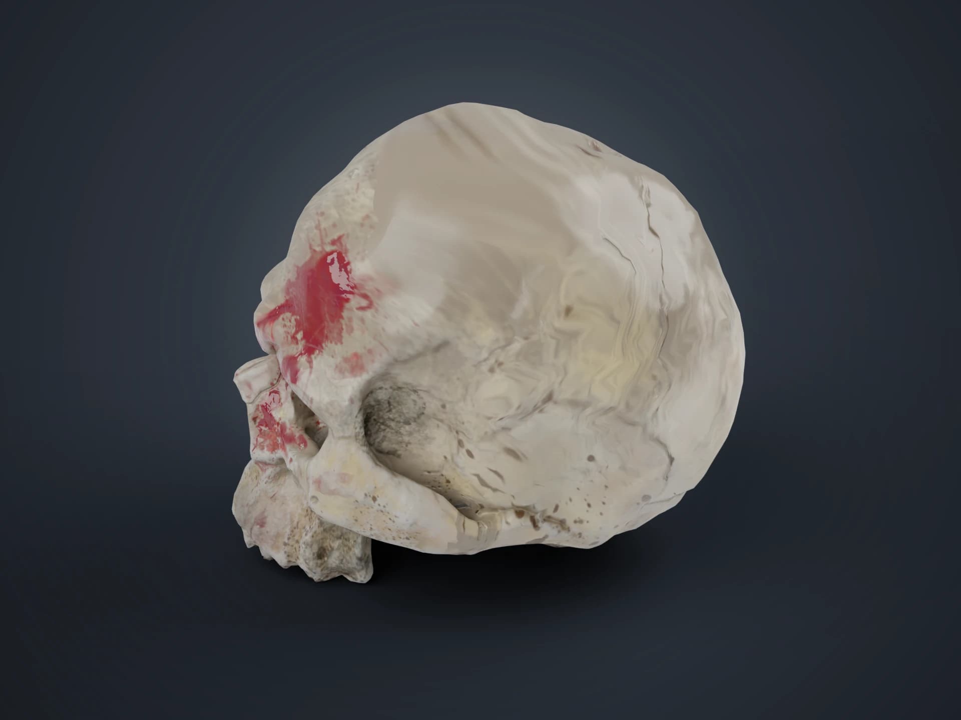 Weathered Human Skull 3D Model