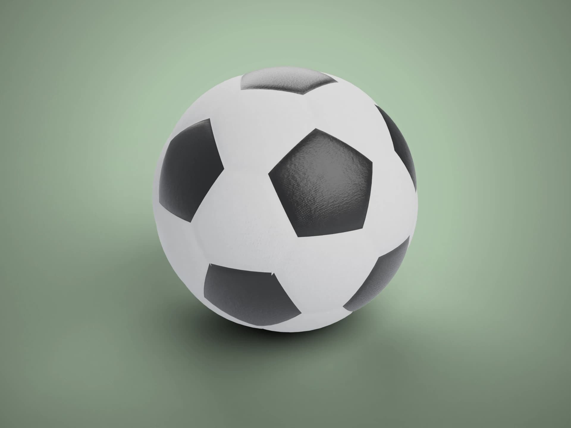 Classic Soccer Ball 3D Model