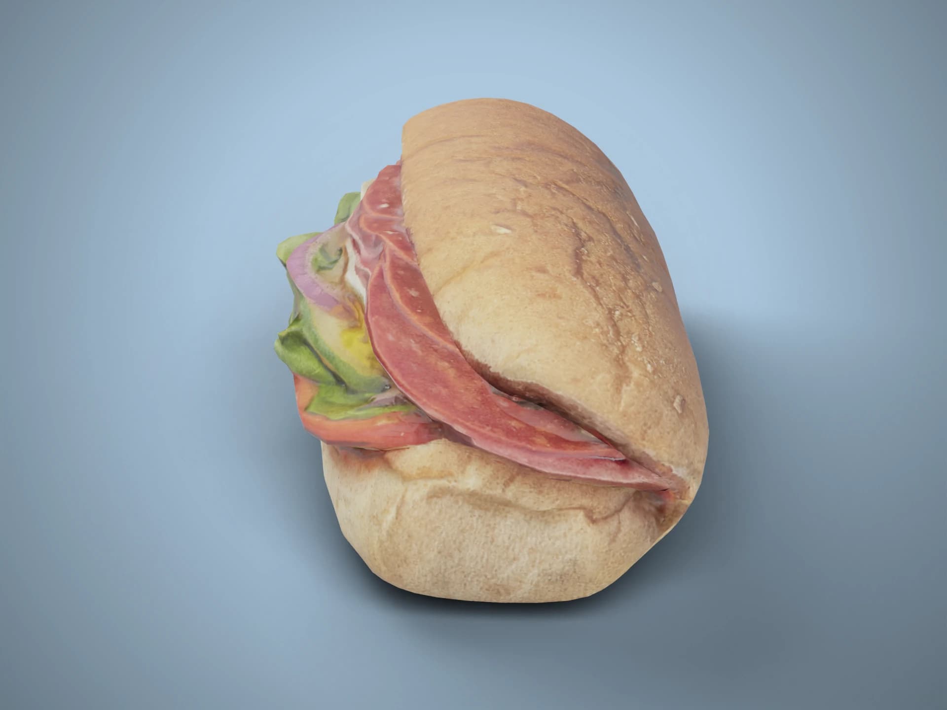 Sub Sandwich with Ham and Salad 3D Model