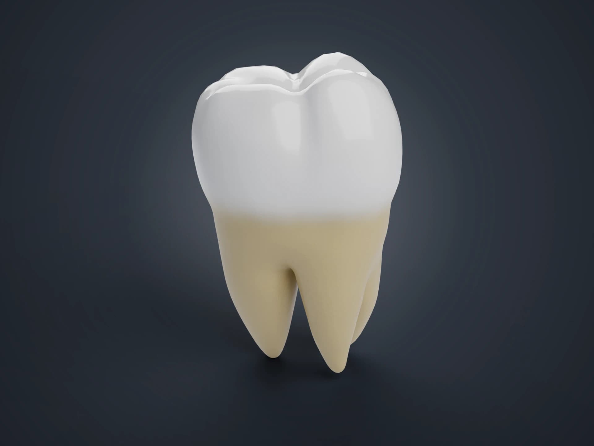 Third Molar Wisdom Tooth 3D Model