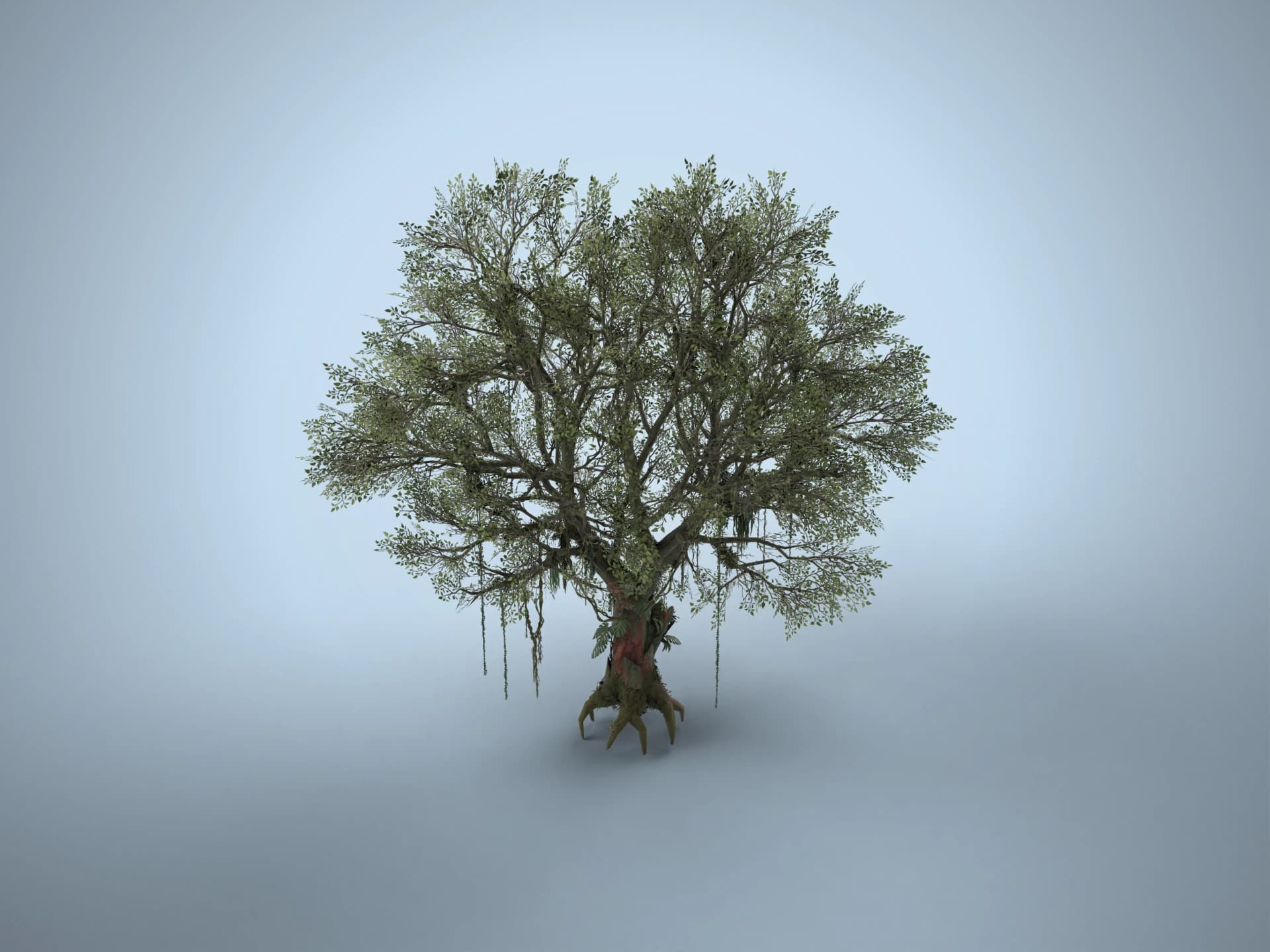 Old Jungle Tree with Hanging Vines 3D Model