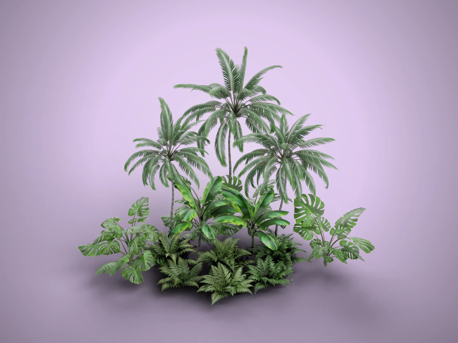 Tropical Plants Pack With Palms Banana And Monstera 3D Model