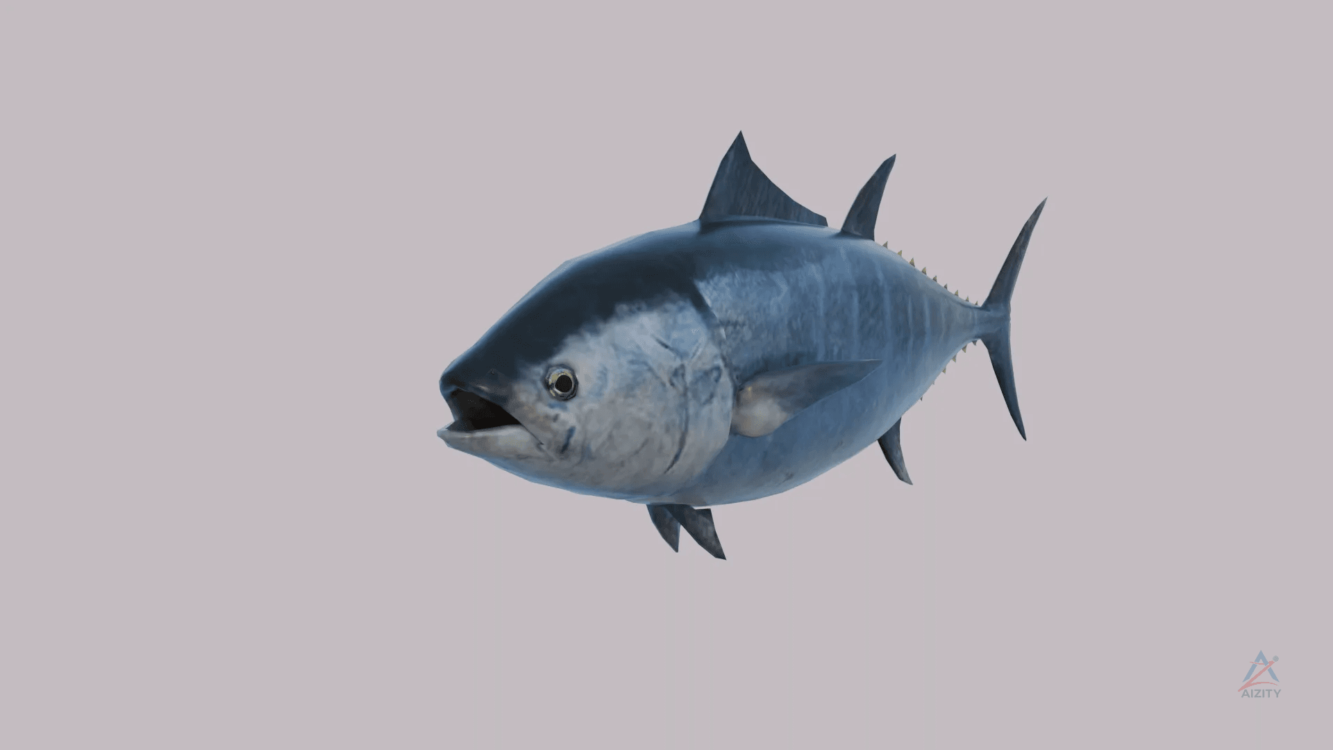 Tuna Fish – 3D Model