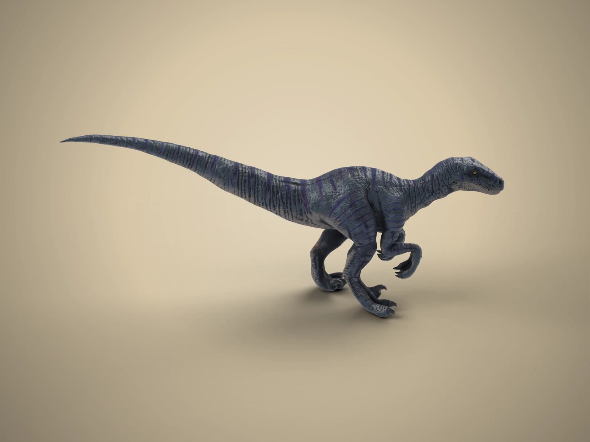 Animated Velociraptor Dinosaur 3D Model
