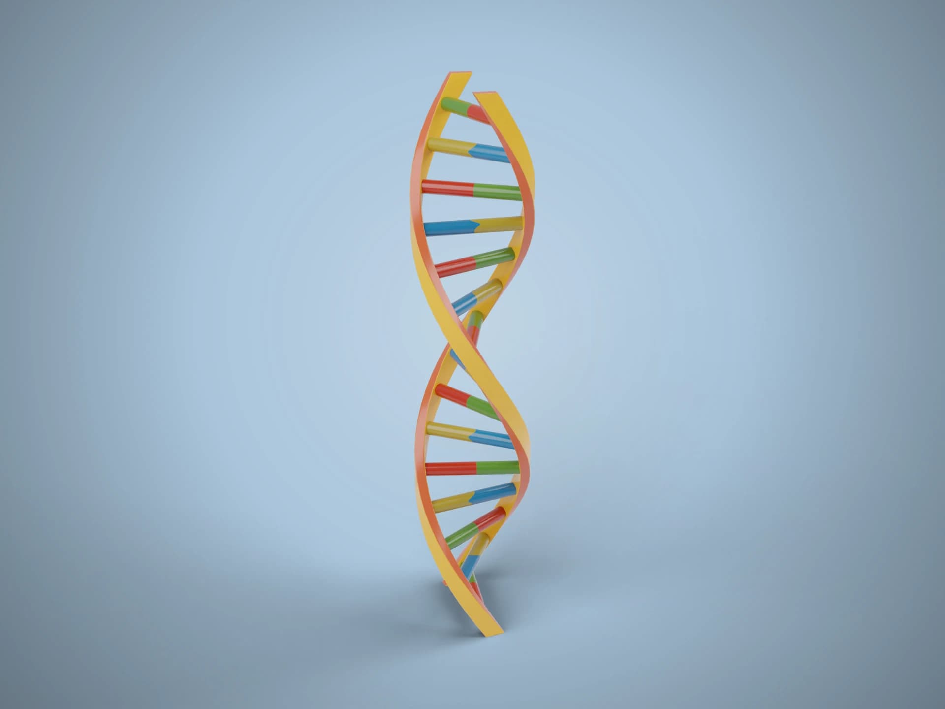 Vertical DNA Helix Model 3D Model
