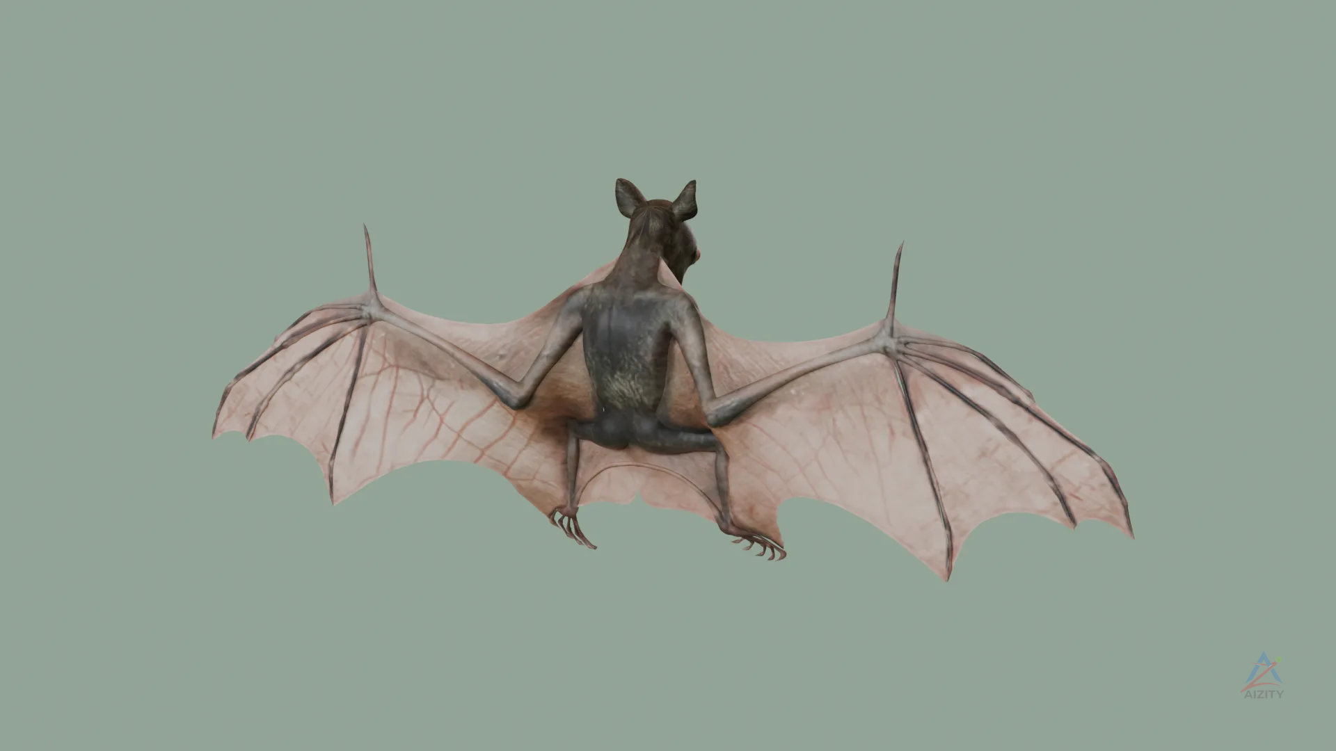 Bat (Kelelawar) – 3D Model - View 2