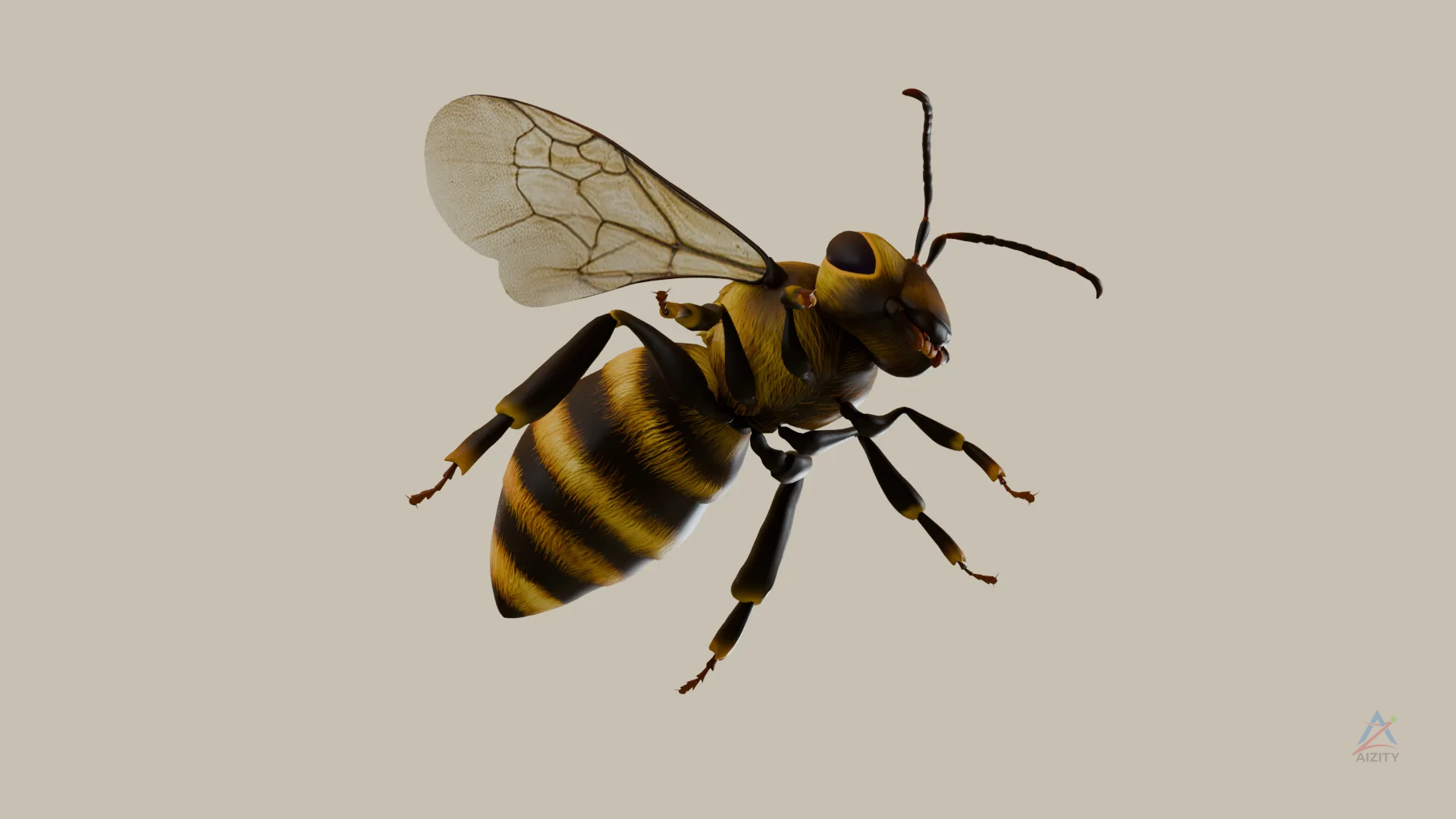 Bee 3D Model - View 2