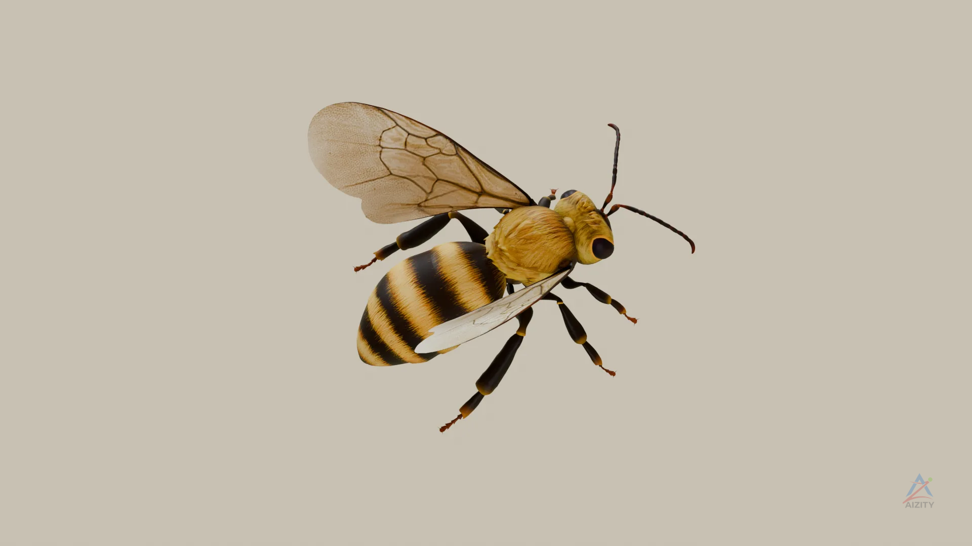 Bee 3D Model - View 3