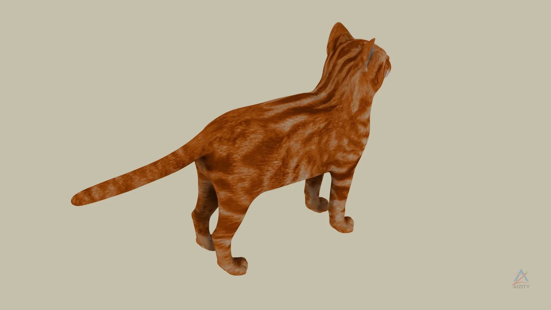 Cat 3D model - View 3