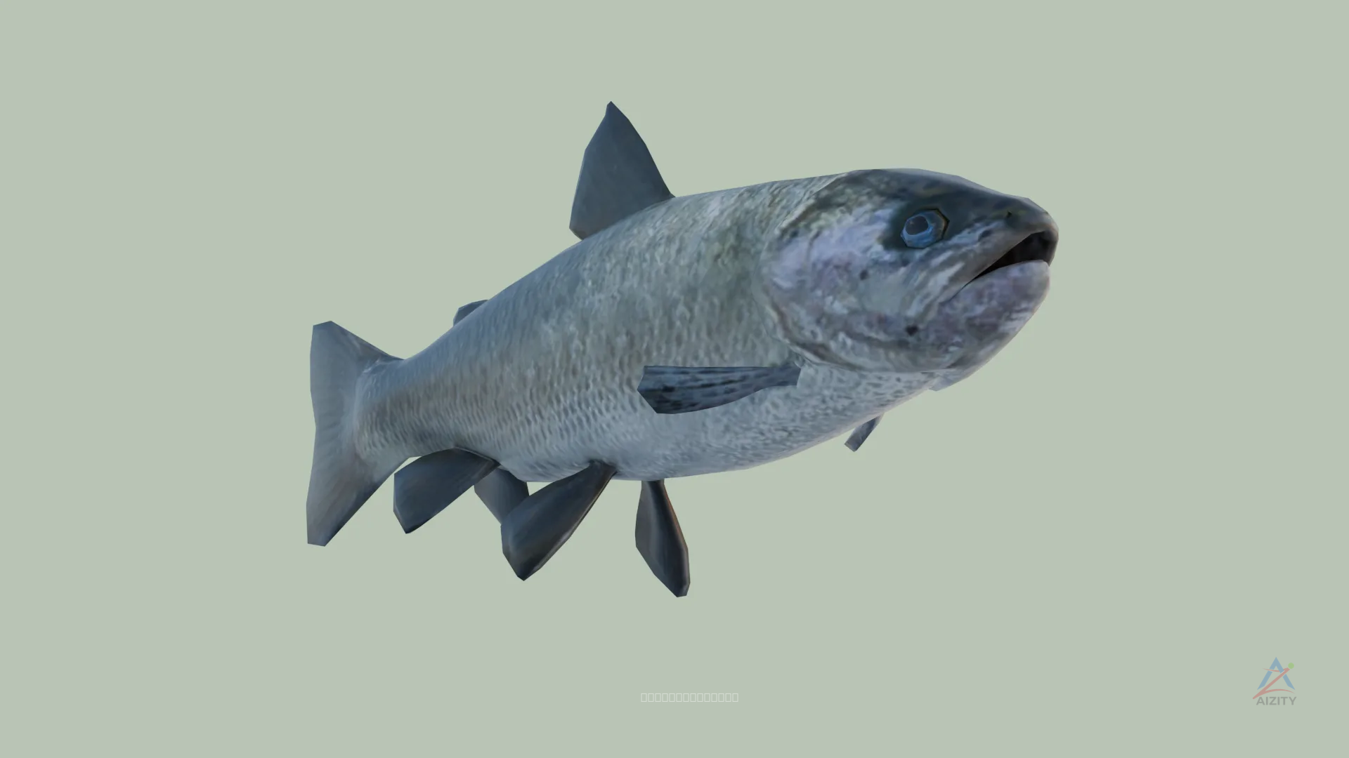Trout Fish – 3D Model - View 2